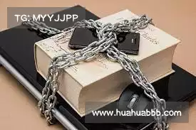 快连app官网——洞察深层数据，掌握市场动态，助您抢占先机！